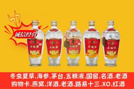 普洱市西盟回收老五粮液