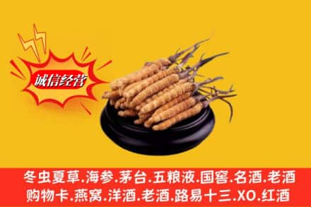 普洱市西盟求购回收虫草多少钱每克